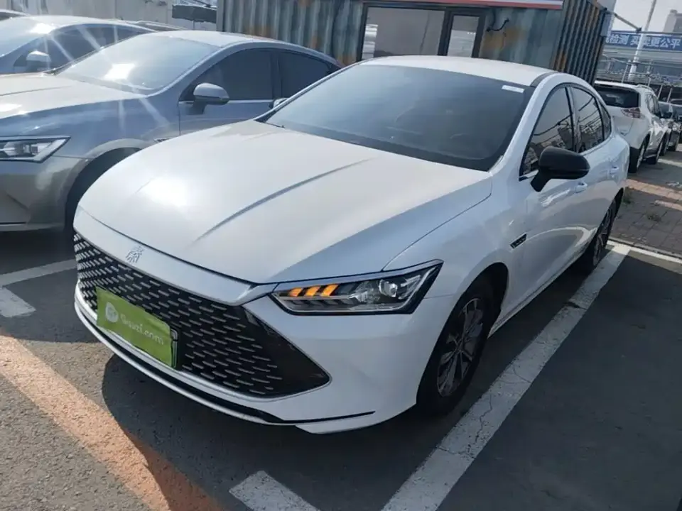 BYD Qin PLUS Champion Edition DM-i 55KM Leading 2024