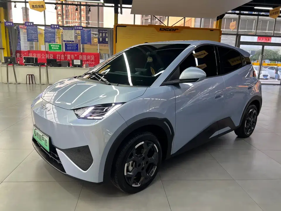 BYD Seagull Smart Drive Edition 405km Free Edition 2025