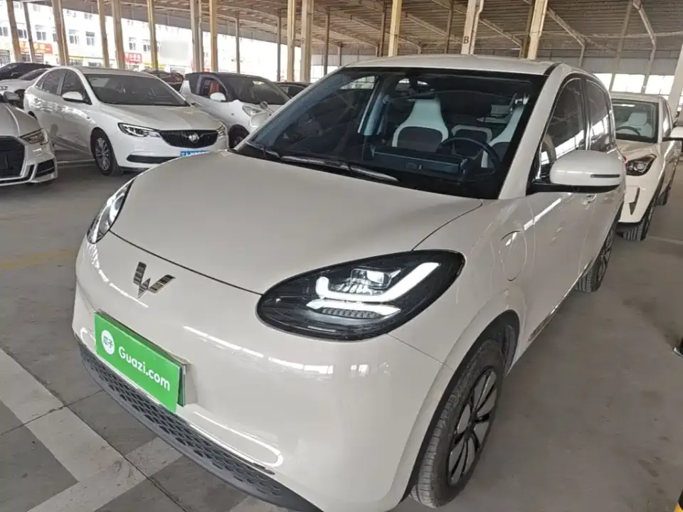 Wuling Motors Wuling Bingo 333km Comfort Edition 2024