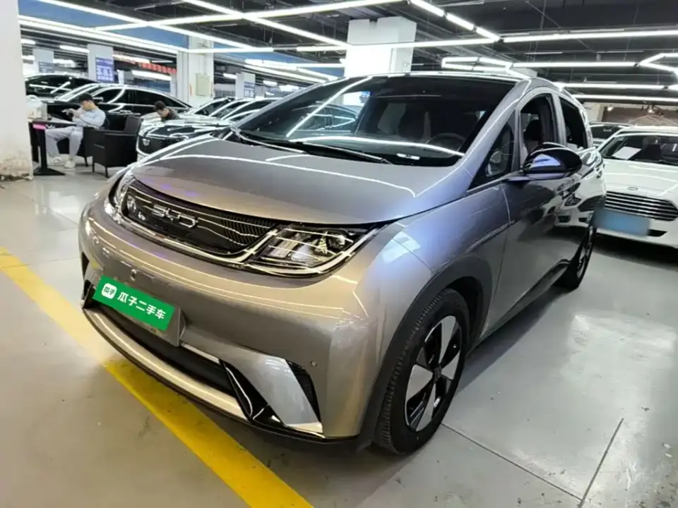 BYD Dolphin 420km Fashion Edition 2024