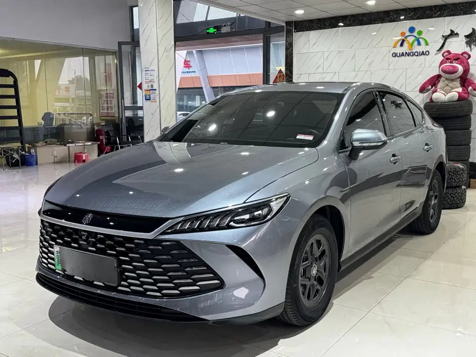 BYD Qin PLUS DM-i Smart Drive 55KM Leader 2025