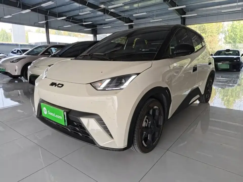 BYD Seagull 305km Freedom 2025