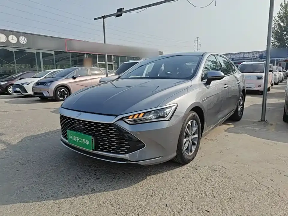 BYD Qin PLUS Glory Edition DM-i 55KM Leading 2024