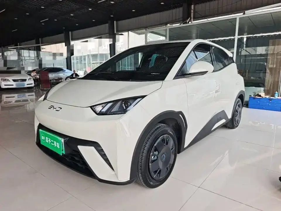 BYD Seagull 305km Vitality 2024