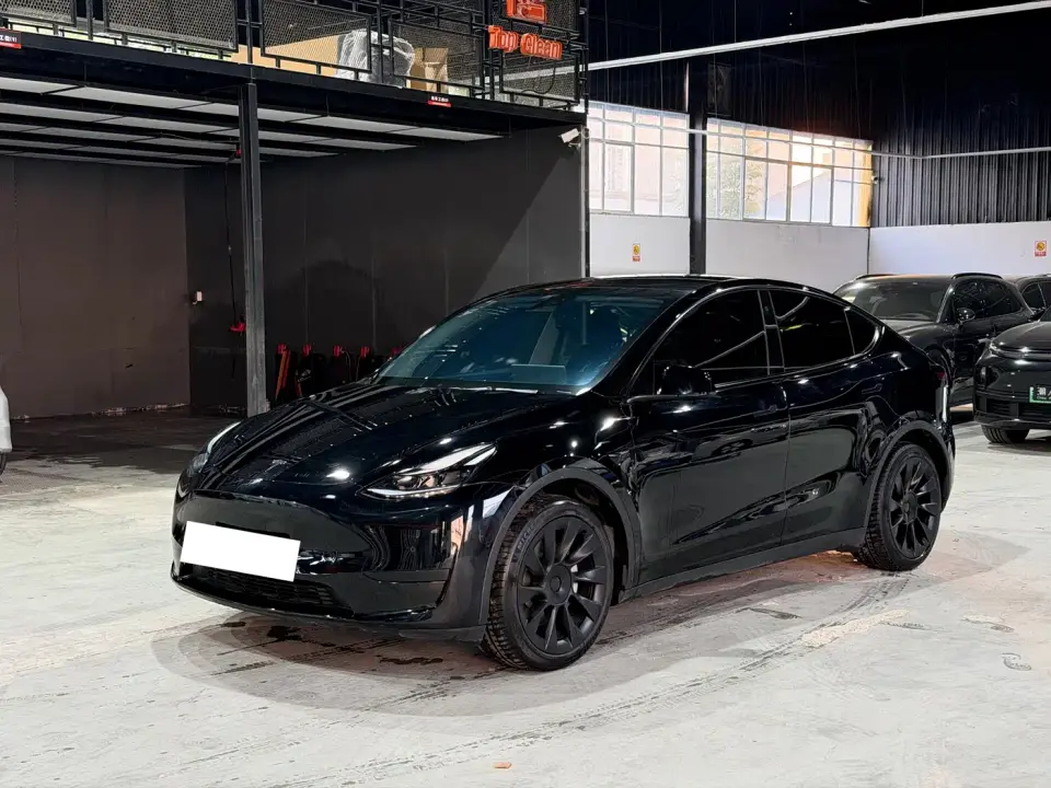 Tesla Model Y Rear-Wheel Drive Version 2022