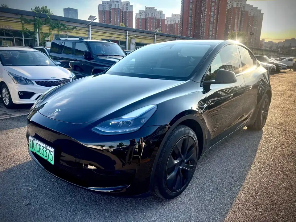 Tesla Model Y Rear-Wheel Drive Version 2024