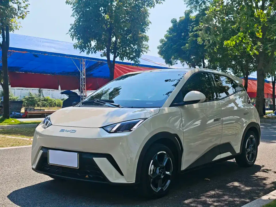 BYD Seagull Freedom Edition 2024