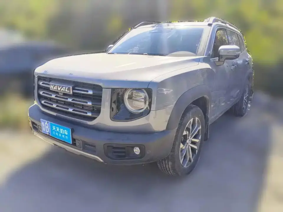 Haval Big Dog 1.5T DCT 2WD Border Collie - Wangcai Edition 2021