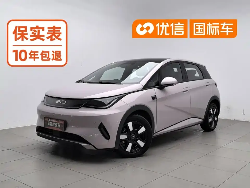 BYD Dolphin Smart Drive Edition 410km Fashion Version 2026
