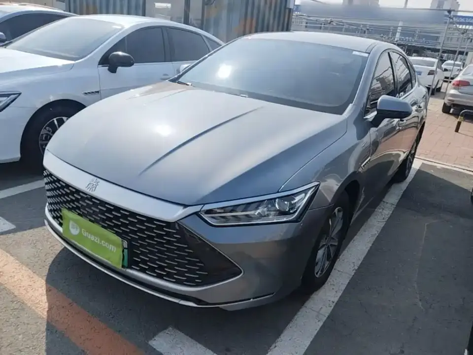 BYD Qin PLUS Champion Edition DM-i 55KM Leading 2024