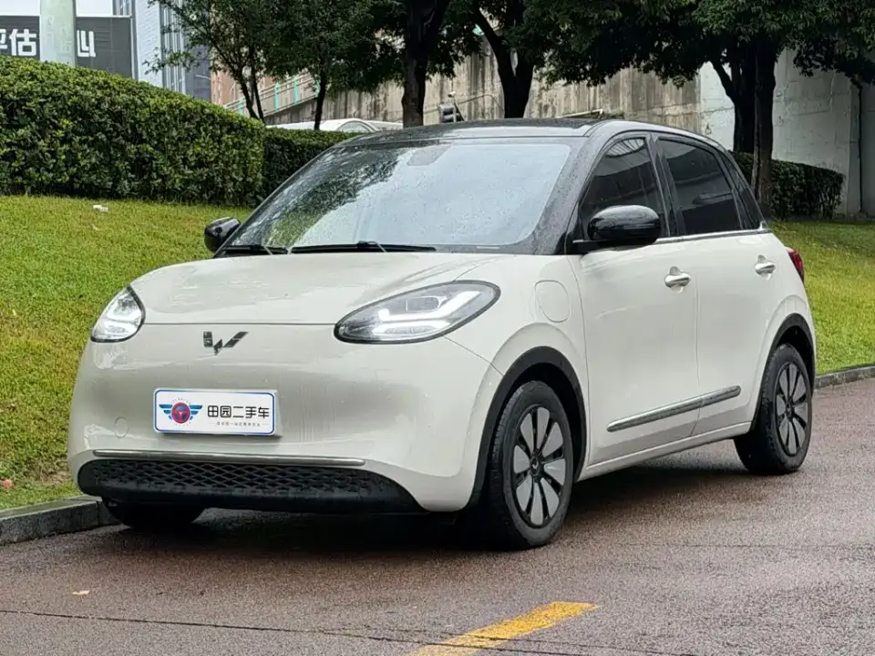 Wuling Motors Wuling Bingo 410km Smart Premium Edition 2025