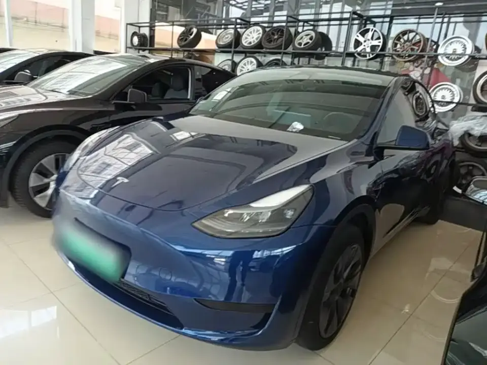 Tesla Model Y Rear-Wheel Drive Version 2024