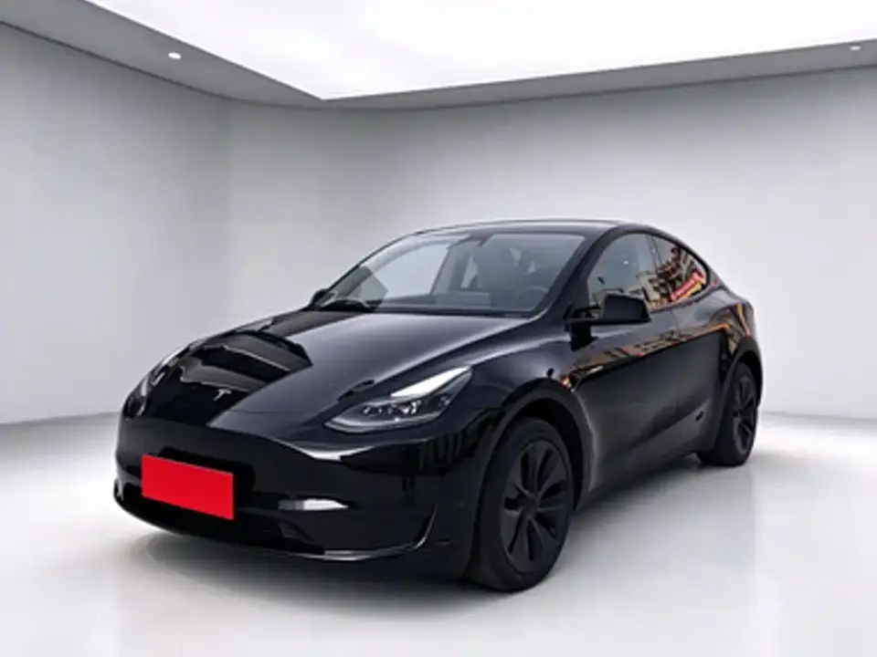 Tesla Model Y Rear-Wheel Drive Version 2024