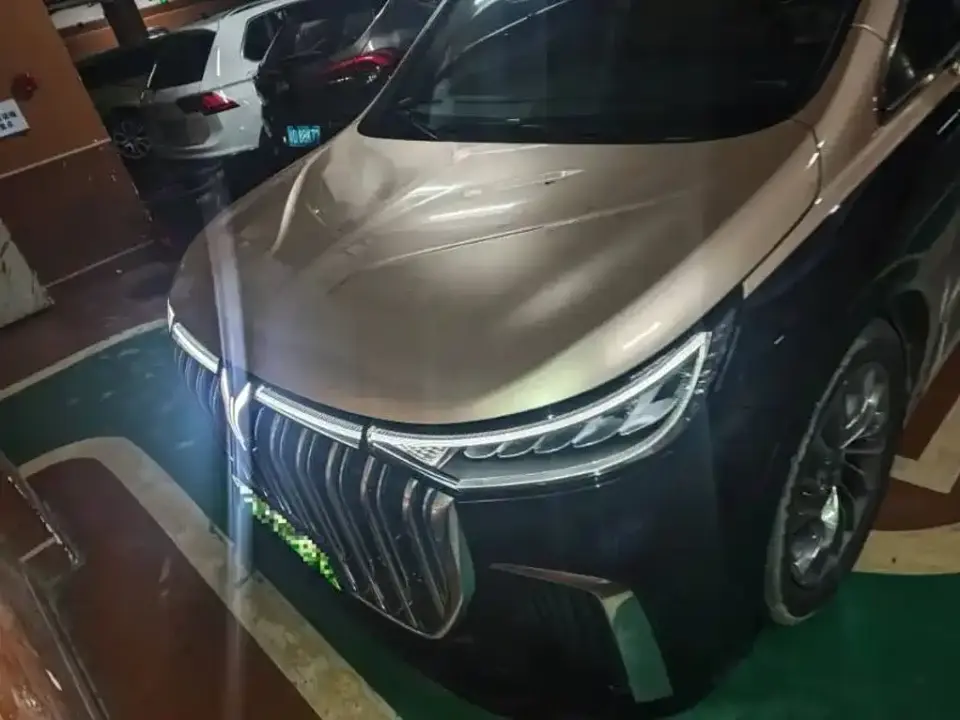 Voyah Auto Voyah Dreamer Low-carbon Dream+Smart Package 2022
