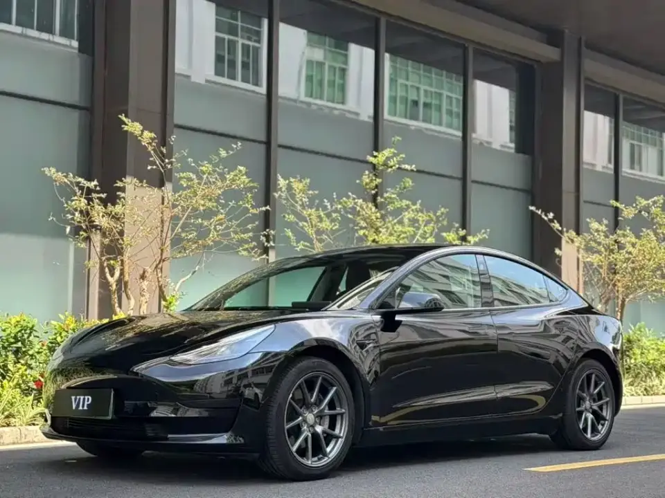 Tesla Model 3 Model Rear-Wheel Drive Version 2022
