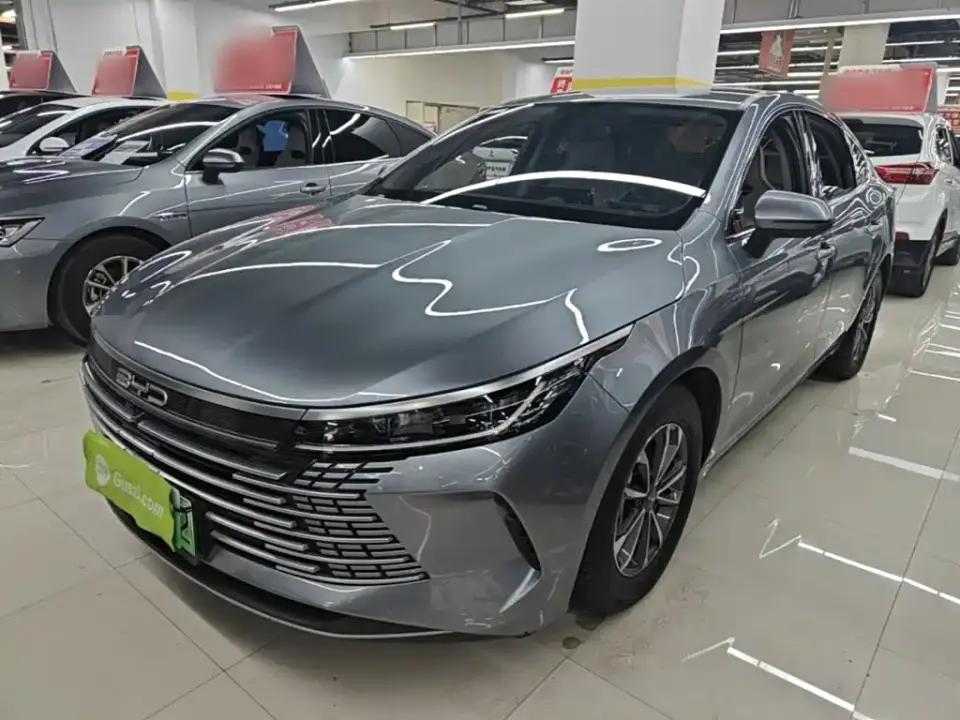 BYD Destroyer 05 Glory Edition DM-i 55KM Luxury 2024