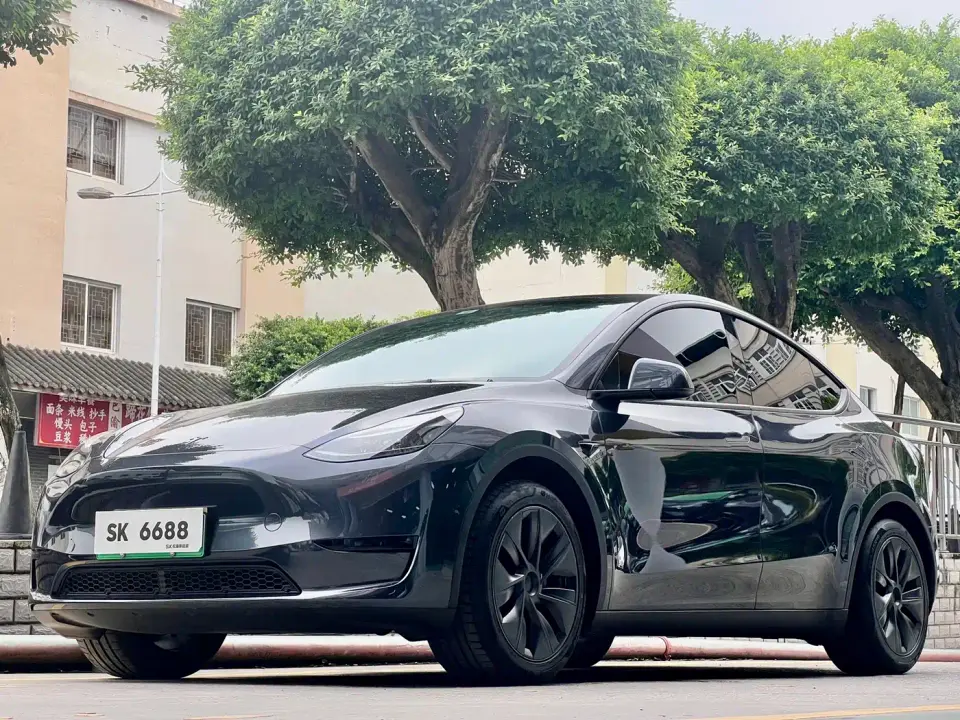 Tesla Model Y Rear-Wheel Drive Version 2024