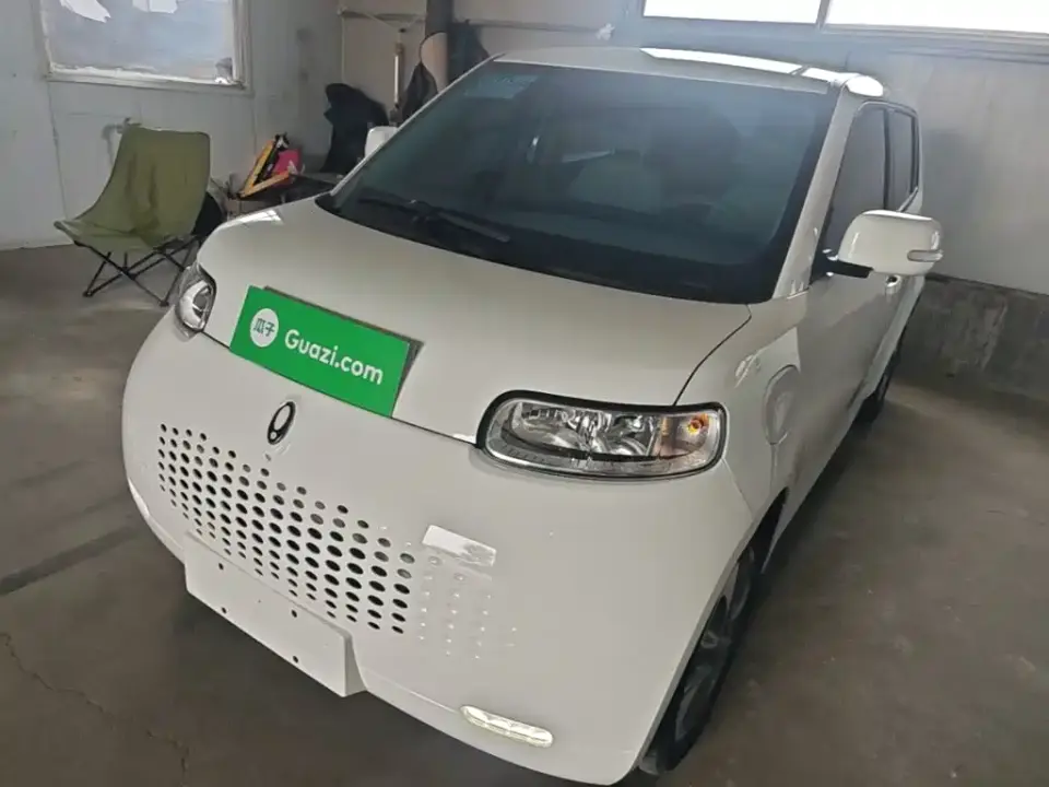 ORA White Cat Upgraded 305km Luxury (NMC) 2021
