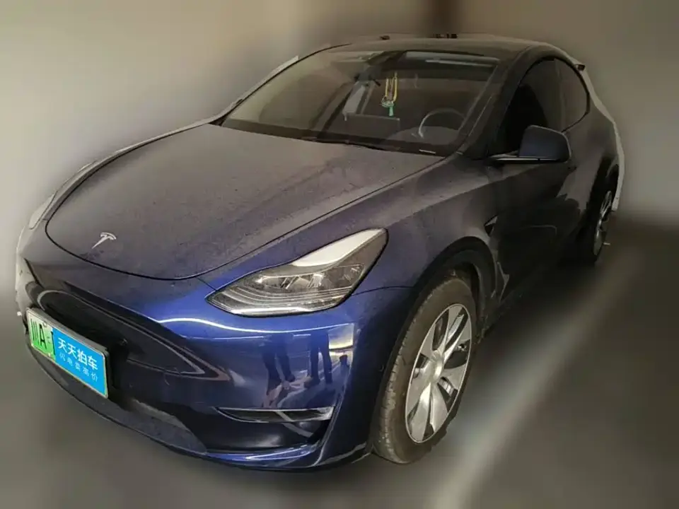 Tesla Model Y Standard Range Rear-Wheel Drive 2021