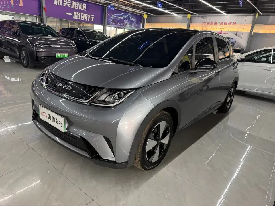 BYD Dolphin 420km Fashion Edition 2023