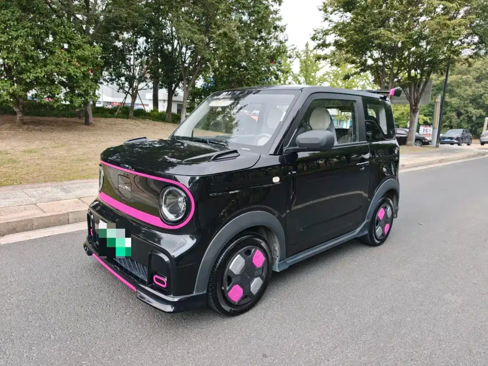 Geely Galaxy Panda Model Year 210km Panda Kart 2025