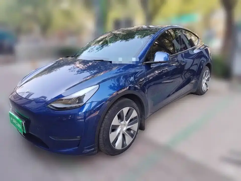 Tesla Model Y Long Range All-Wheel Drive 3D7 2021