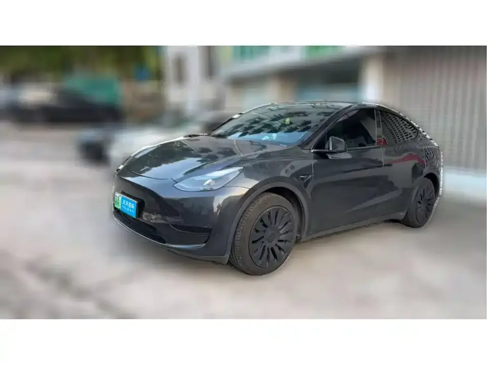 Tesla Model Y Rear-Wheel Drive Version 2024
