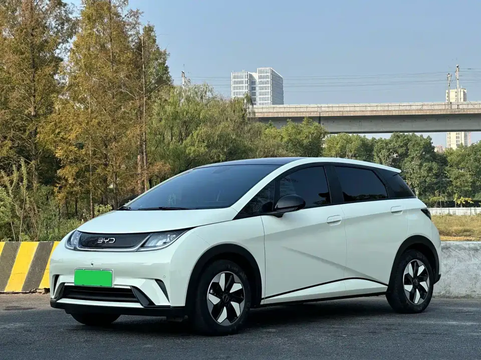 BYD Dolphin 420km Fashion Edition 2024