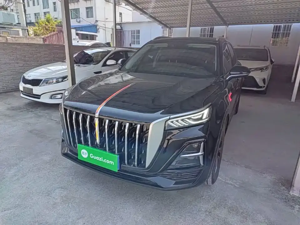 Hongqi HS5 2.0T Flag Enjoy Pro Edition 2024
