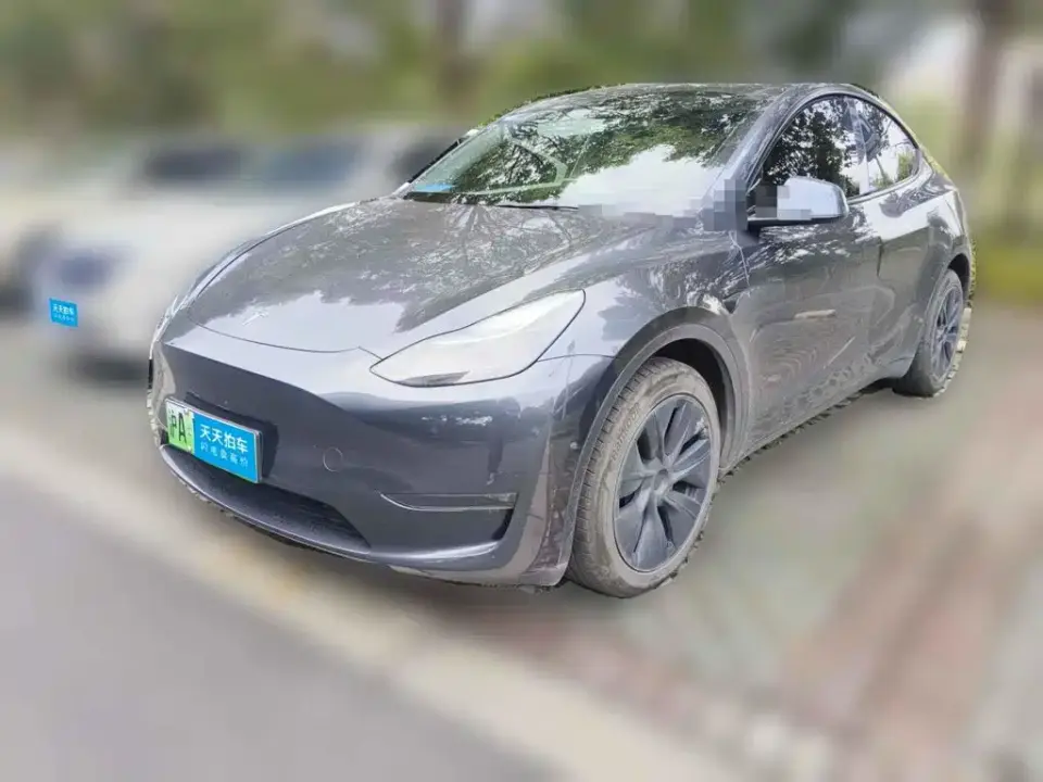 Tesla Model Y Long Range AWD 2024