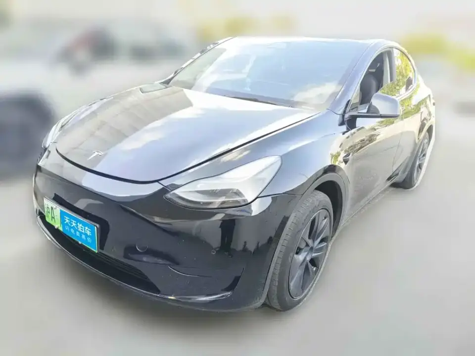 Tesla Model Y Rear-Wheel Drive Edition 2023