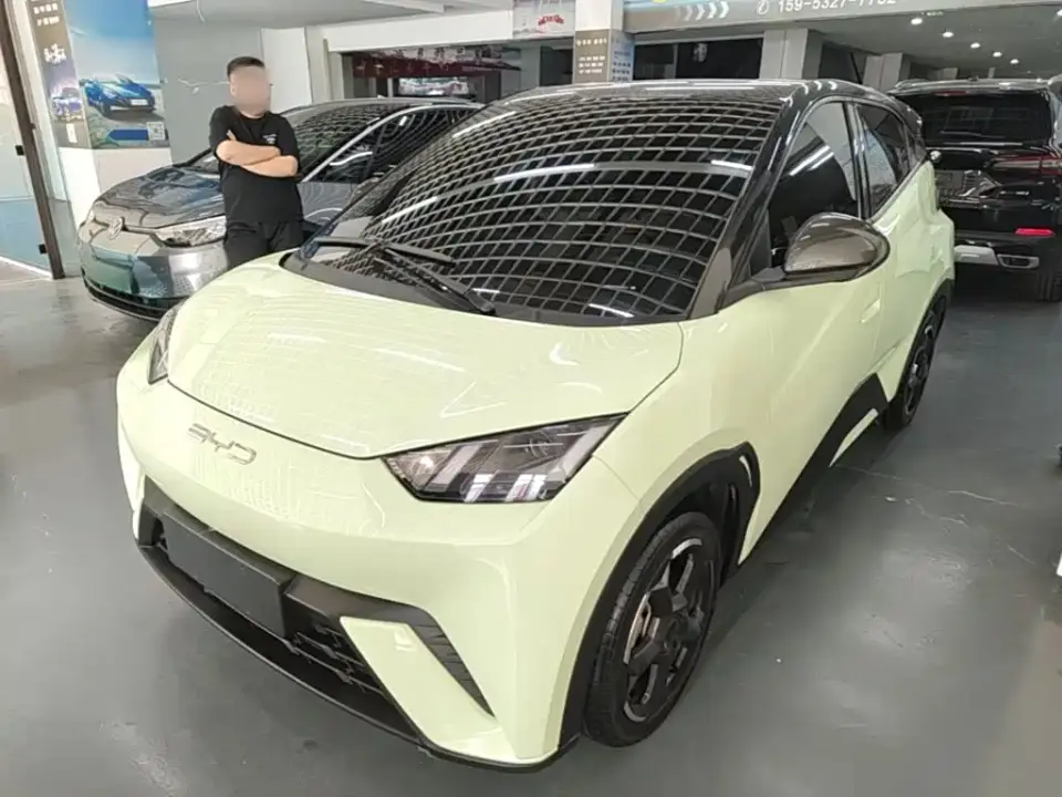 BYD Seagull Freedom Edition 2024