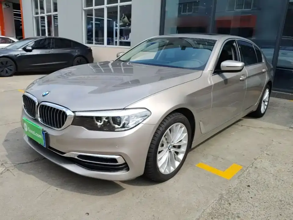 BMW 5 Series 530Li Leading Luxury Package 2019