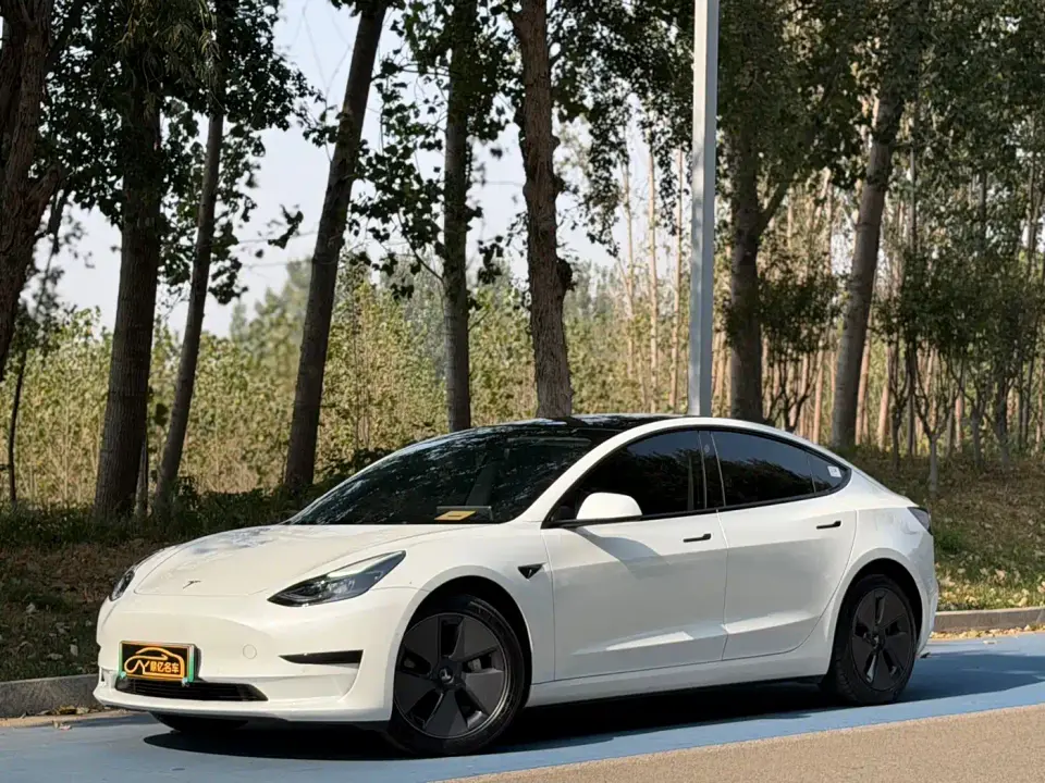 Tesla Model 3 Model Rear-Wheel Drive Version 2022