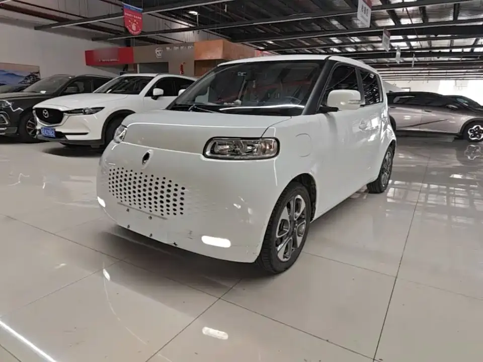 ORA White Cat 305km Luxury 2021