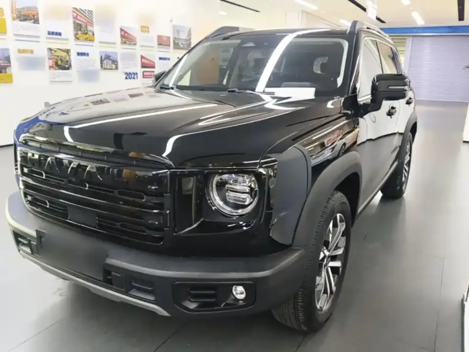 Haval Big Dog 1.5T DCT Border Collie Edition 2024