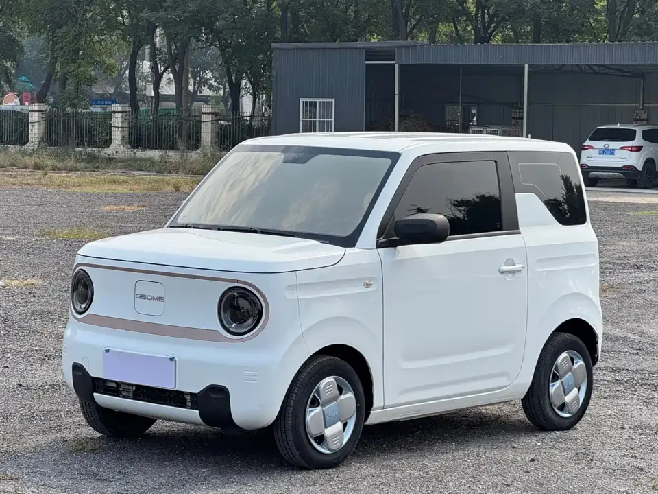Geely Galaxy Panda Panda mini 200km Endurance Bear 2024