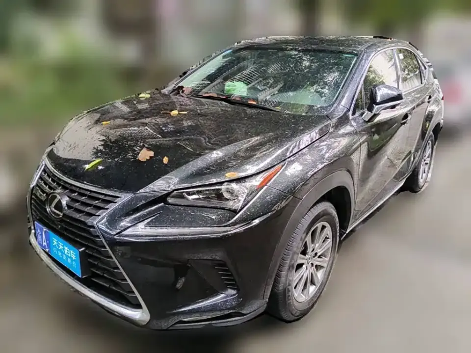 Lexus NX Model 200 FWD Fengxing Edition China V 2019