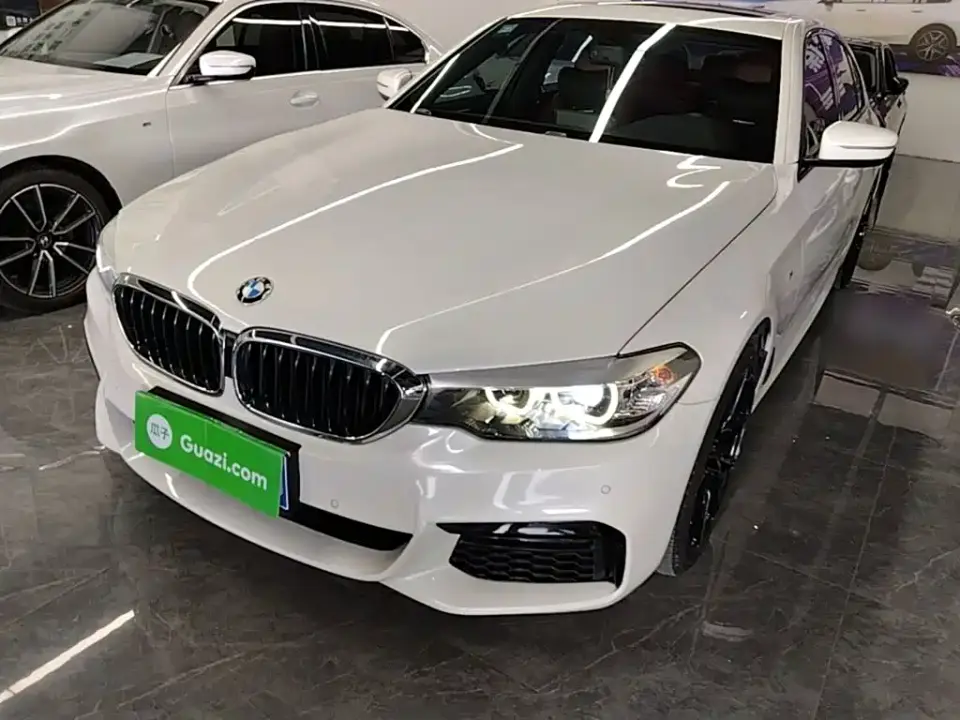 BMW 5 Series 530Li Leading M Sport Package 2019