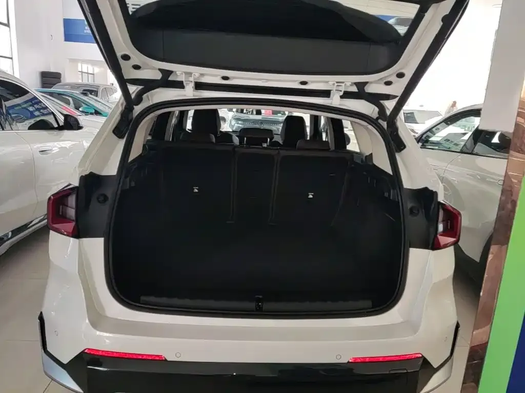 BMW iX1 xDrive30L X Design Package 2024 — фото 19