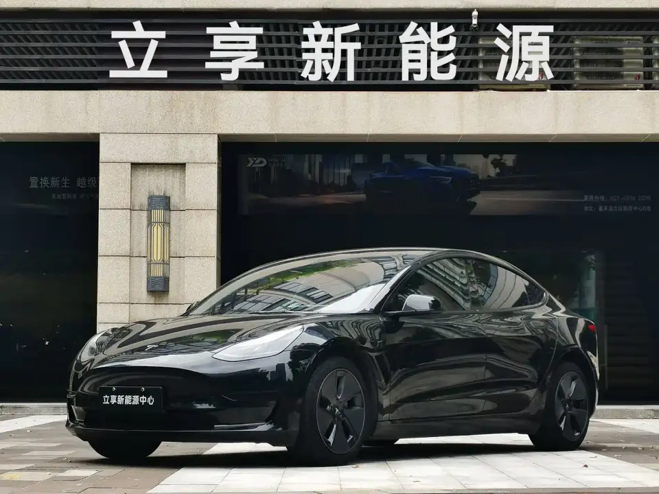 Tesla Model 3 Model Rear-Wheel Drive Version 2022