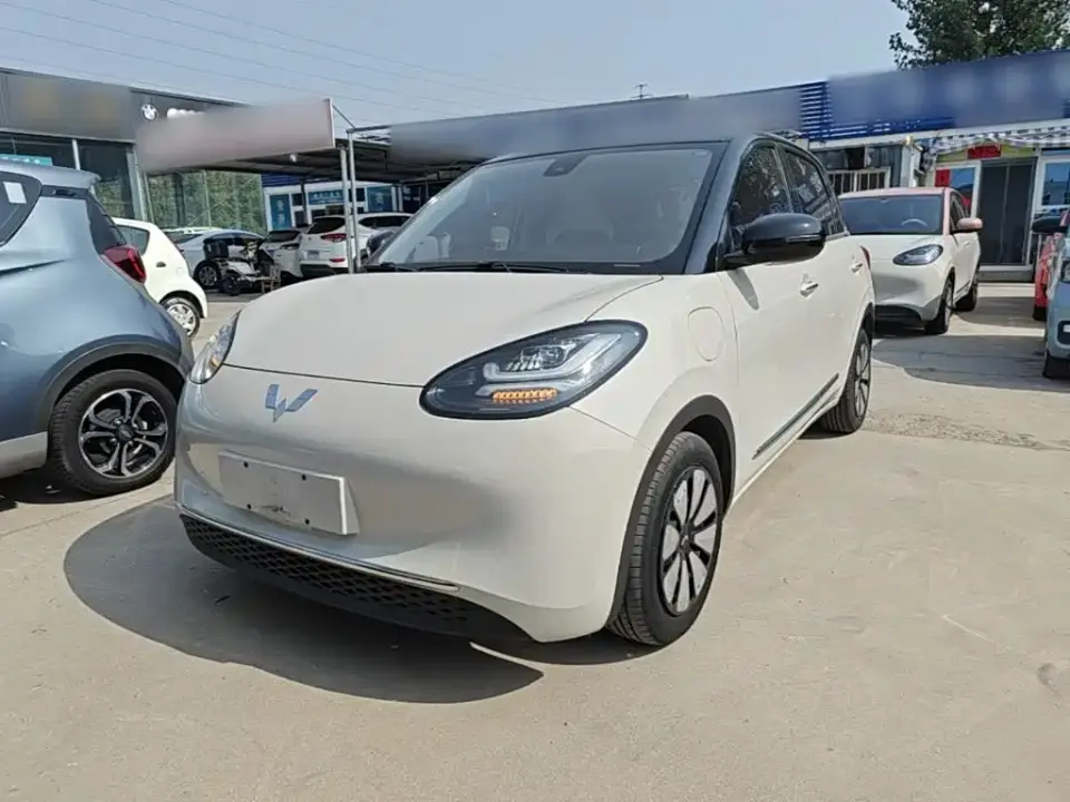 Wuling Motors Wuling Bingo 333km Joyful Version 2024
