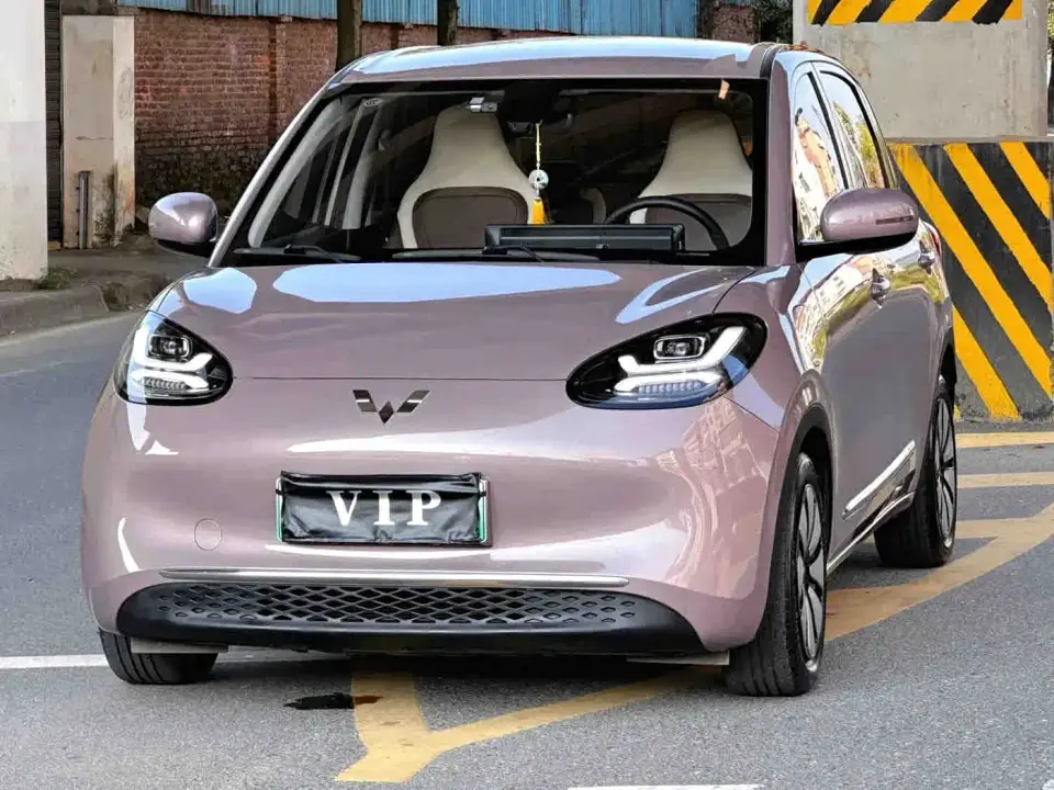 Wuling Motors Wuling Bingo 333km Quick Enjoy Version 2023