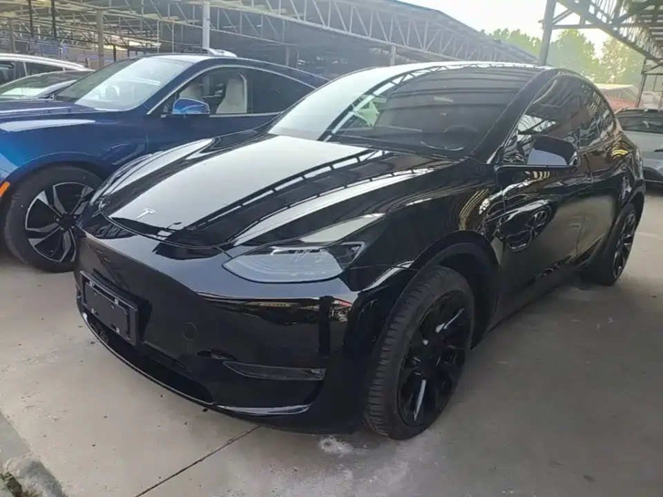 Tesla Model Y Model Long Range AWD 2021