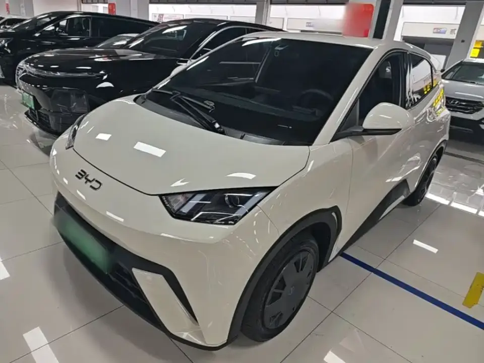 BYD Seagull Glory Edition 305km Vitality Edition 2024