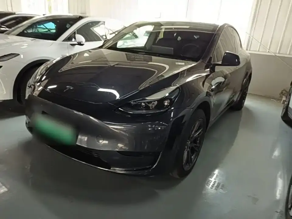 Tesla Model Y Rear-Wheel Drive Version 2024