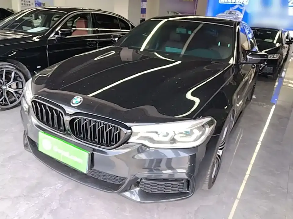 BMW 5 Series 530Li Leading M Sport Package 2019