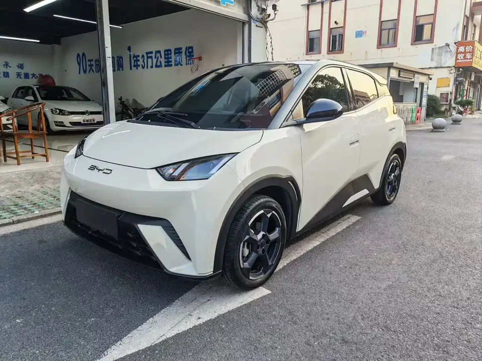 BYD Seagull Freedom Edition 2023