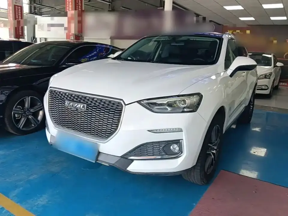 Haval F5 National Trend Edition 1.5T iStyle China VI 2019
