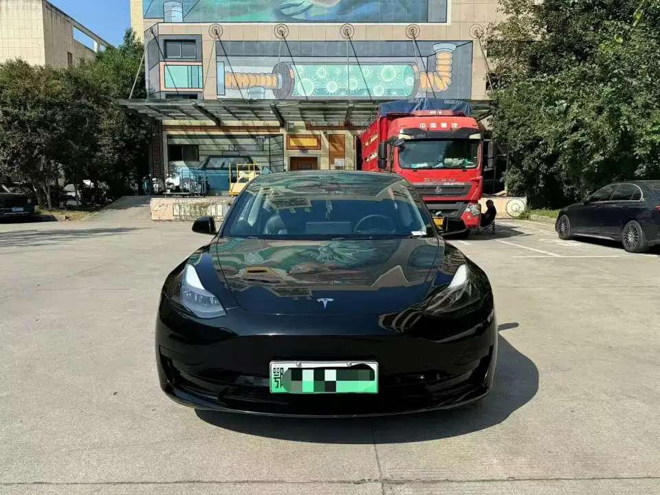 Tesla Model 3 Standard Range Rear-Wheel Drive Upgrade 3D6 2021
